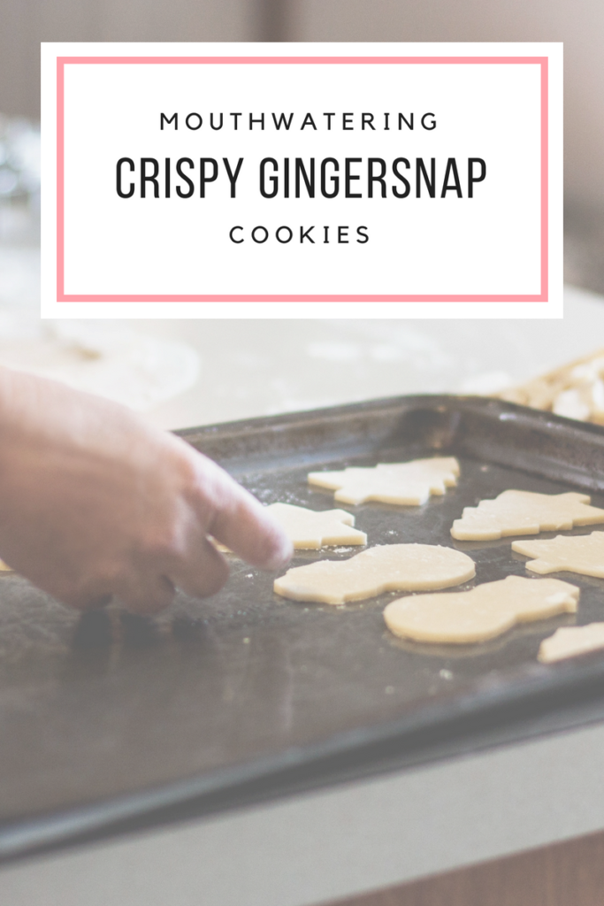 Mouthwatering Crispy Gingersnap Cookies 14